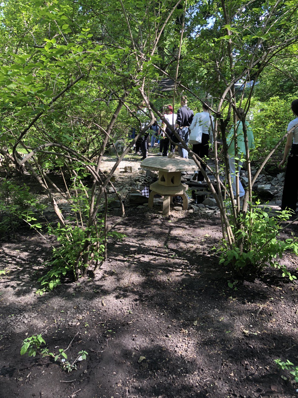 21 мая 2024 года студенты группы 23ИПО1 (куратор - проф. каф. ВИиО В.И. Шувалов) посетили Ботанический сад им. И.И. Спрыгина ПГУ